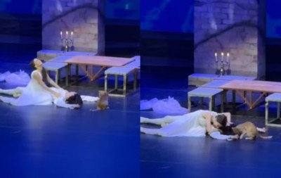 Gato invade palco de Romeu e Julieta, morde ator brasileiro e rouba a cena na Turquia