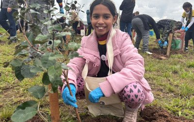 Inaugurado em Estância Velha, projeto Elo Verde incentiva plantio de mudas e conscientização ambiental; veja vídeo