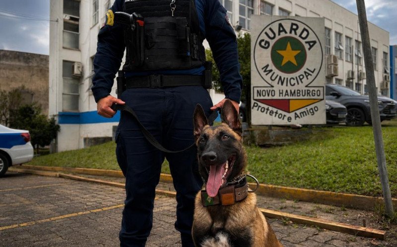Conheça Bruce, a primeira agente canina da Guarda Municipal de Novo Hamburgo | abc+