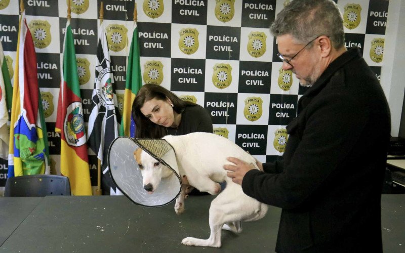 15/06/26 DPPA - PRISÃO PAULA LOPES - ESTELIONATO - CÃO DUDU - DELEGADO CRISTIANO RESCHKE