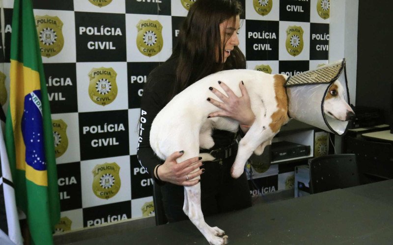  15/06/26 DPPA - PRISÃO PAULA LOPES - ESTELIONATO - CÃO DUDU
