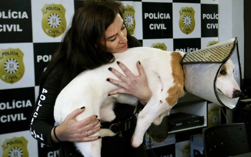  15/06/26 DPPA - PRISÃO PAULA LOPES - ESTELIONATO - CÃO DUDU