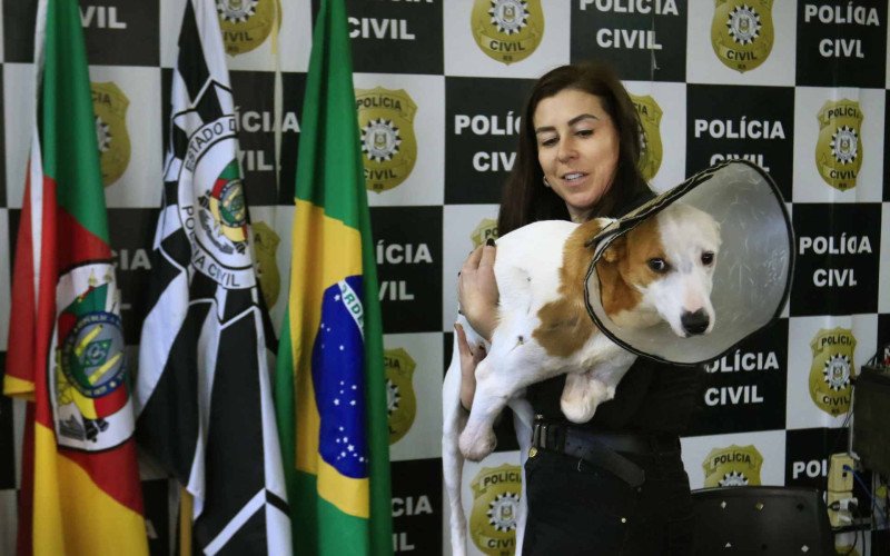 Cão Dudu foi apreendido durante operação nesta segunda-feira | abc+