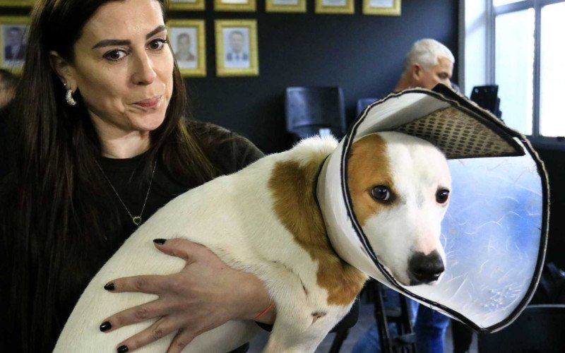  15/06/26 DPPA - PRISÃO PAULA LOPES - ESTELIONATO - CÃO DUDU