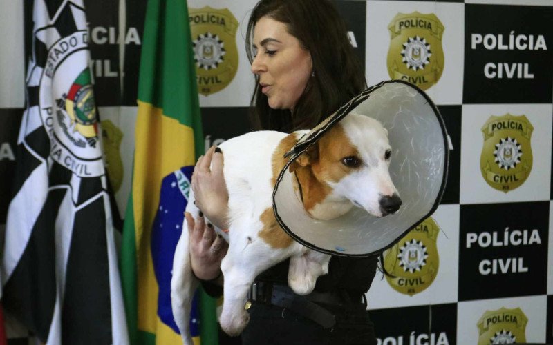  15/06/26 DPPA - PRISÃO PAULA LOPES - ESTELIONATO - CÃO DUDU