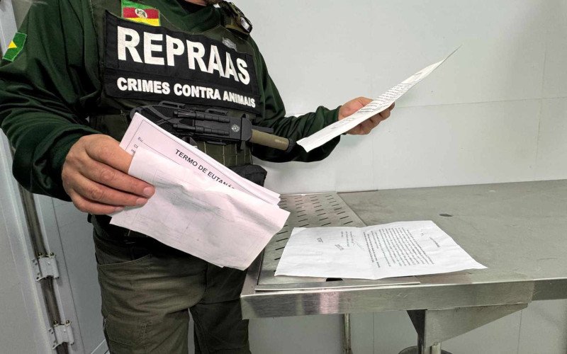 Ex-secretária de Canoas é presa por esquema de eutanásia fraudulenta | abc+
