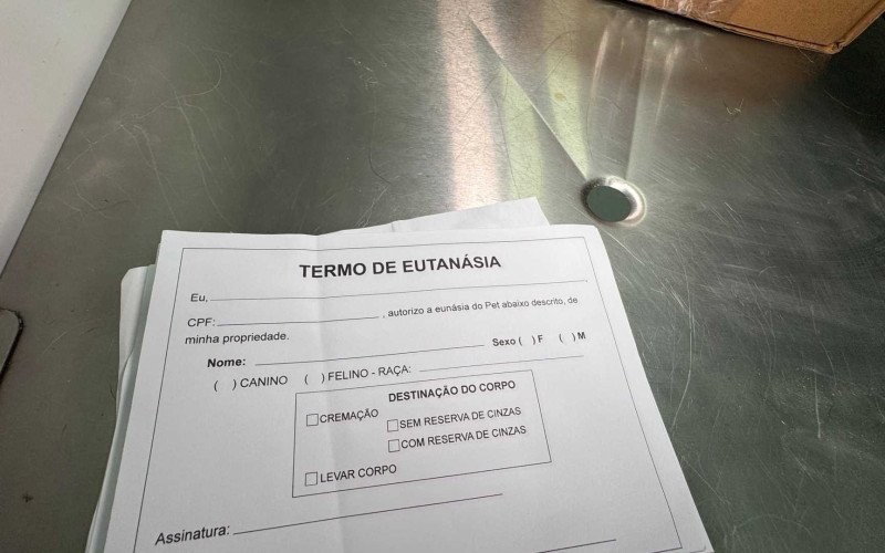 Ex-secretária de Canoas é presa por esquema de eutanásia fraudulenta | abc+