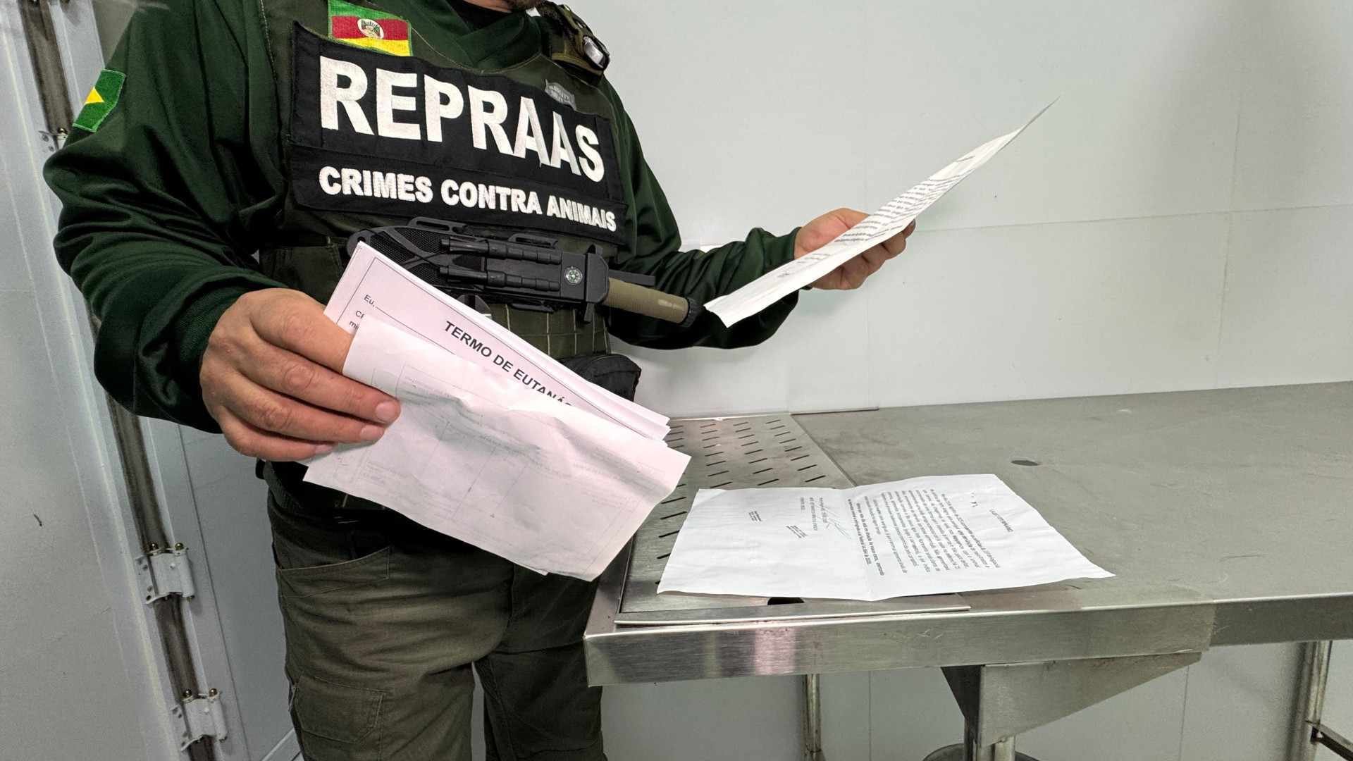 &ldquo;N&atilde;o era piedade&rdquo;: Investigados por eutan&aacute;sias fraudulentas arrecadaram R$ 670 mil para supostos tratamentos de animais