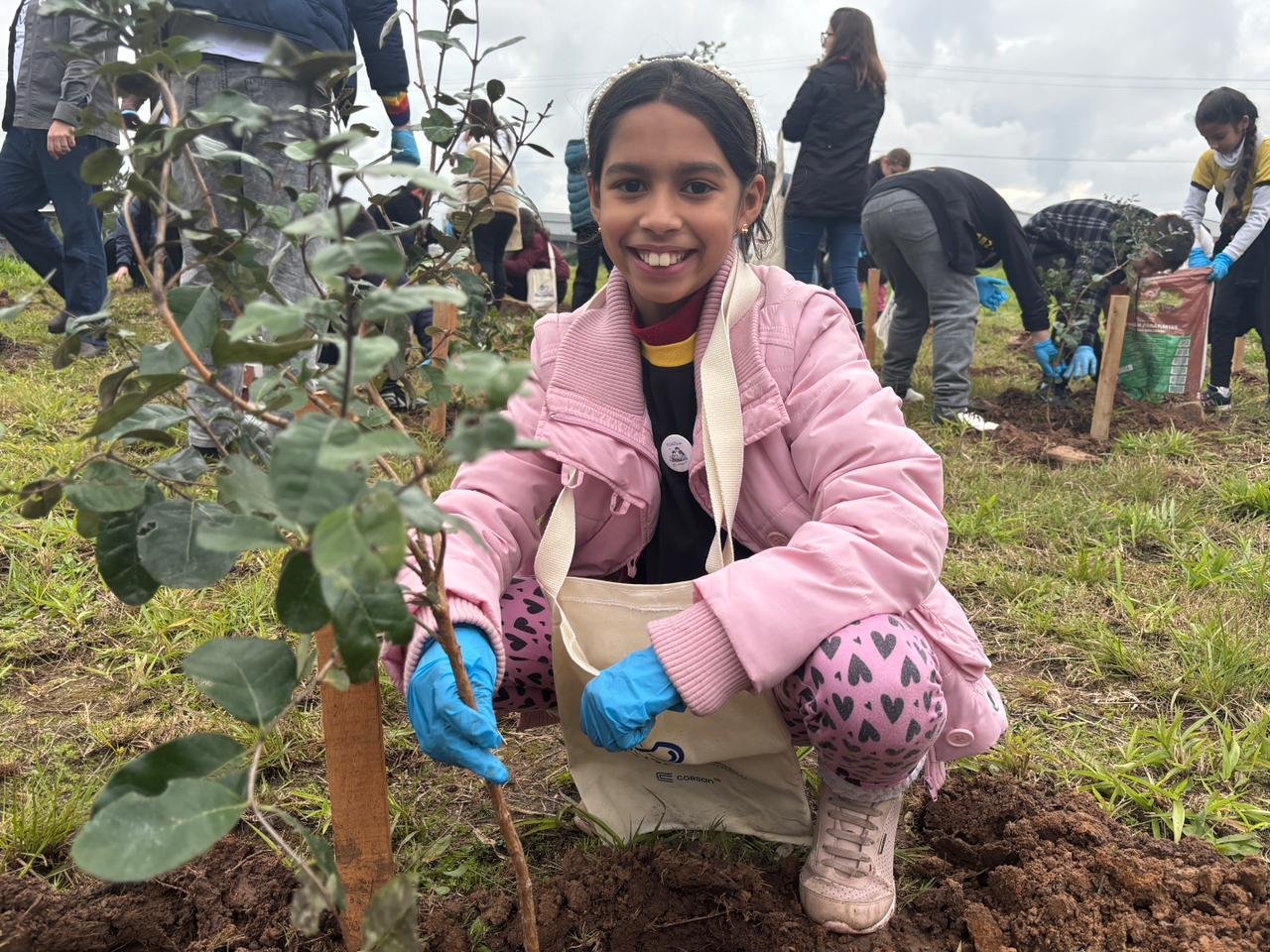 Inaugurado em Est&acirc;ncia Velha, projeto Elo Verde incentiva plantio de mudas e conscientiza&ccedil;&atilde;o ambiental; veja v&iacute;deo