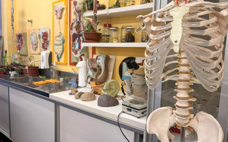Sala de Ciências toda ambientada pela professora | abc+