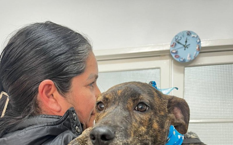 Doações para a Campanha do Agasalho Pet podem ser feitas na sede da Sempa e ajudar cães como o Brazino, que está disponível para adoção