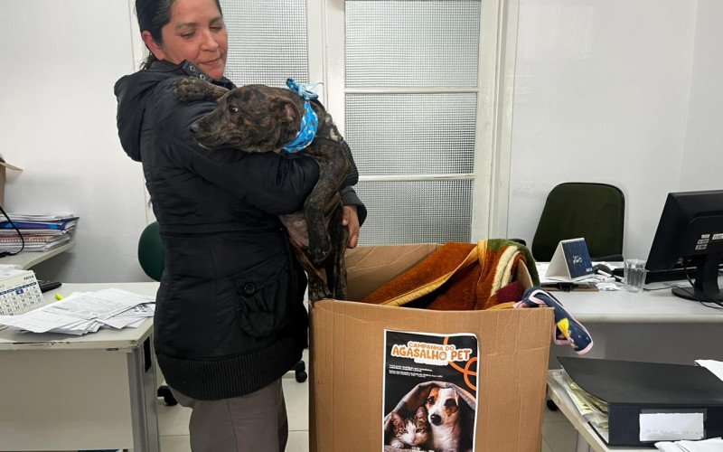 Doações podem ser feitas na sede da Sempa, no Centro 