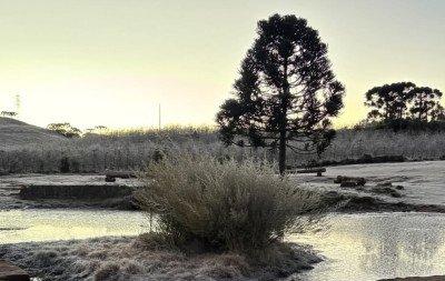 VÍDEO: Frio de -7,3ºC faz lago "congelar" em SC