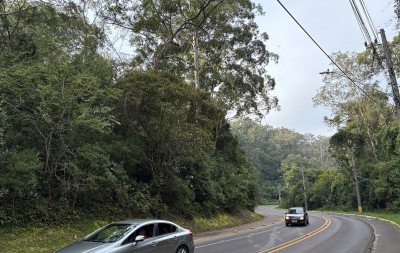 Um ano depois da queda de árvore que matou motorista, medidas ainda são aguardadas na Estrada do Horto