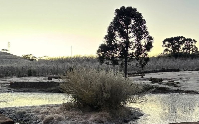 Frio de -7,3ºC faz lago "congelar" em Santa Catarina | abc+