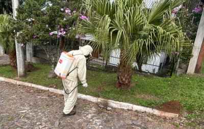Dois Irmãos realiza ação periódica para combater presença de ratos, baratas e outras pestes; veja quando será a próxima