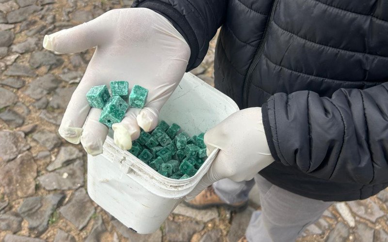 Produtos aplicados incluem tamb&eacute;m blocos de veneno para rato