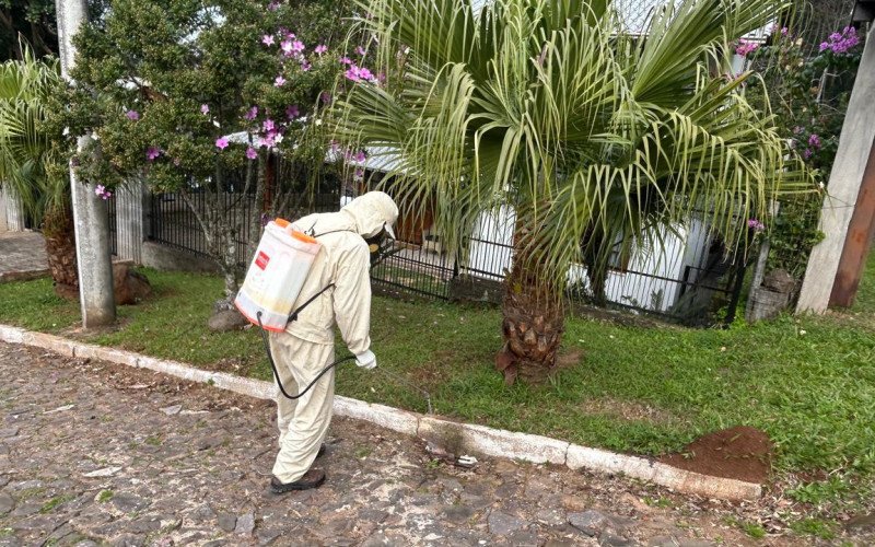 Dois Irmãos tem ações periódicas de desinsetização e desratização das bocas de lobo