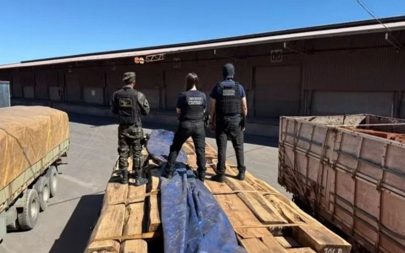 Cocaína estava escondida em uma carga de madeira | abc+