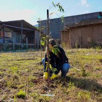 Para evitar ocupações em áreas atingidas pela enchente, Nova Santa Rita planta árvores