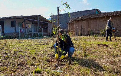 Para evitar ocupações em áreas atingidas pela enchente, Nova Santa Rita planta árvores