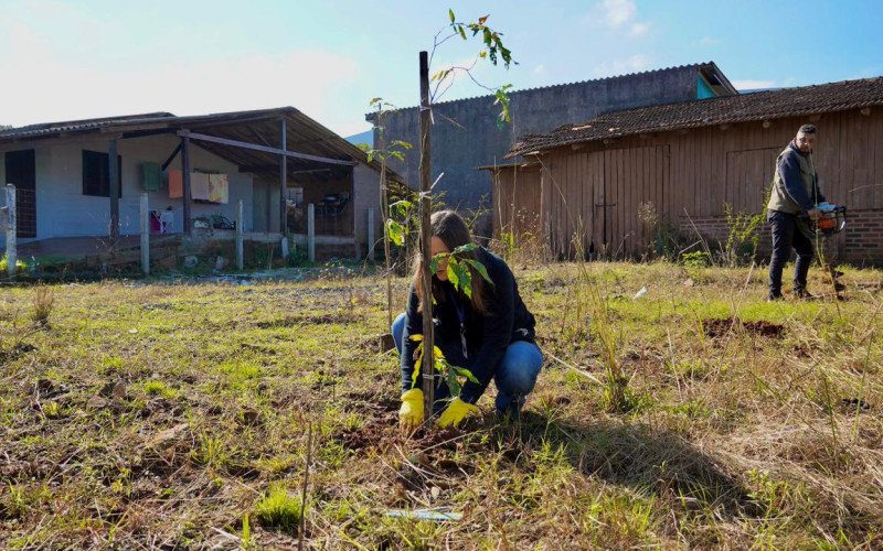 Nova Santa Rita intensifica plantio de árvores nativas para evitar novas ocupações em áreas de risco de enchente | abc+