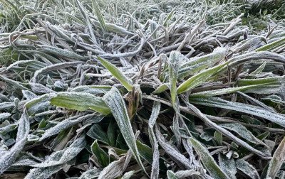 RS deve ter geada e temperaturas próximas de 0°C; saiba quando e as regiões atingidas