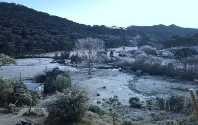 Congelou! Serra catarinense registra -9,1 °C na madrugada mais fria do ano