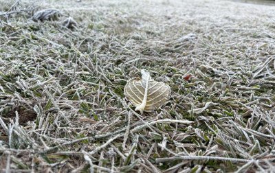 Frio polar no RS: Cidade gaúcha despenca para -5,6°C e registra menor mínima na manhã mais fria do ano