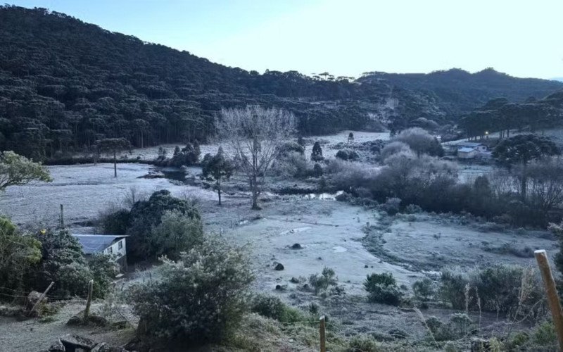 Geada no dia mais frio do ano em Santa Catarina | abc+