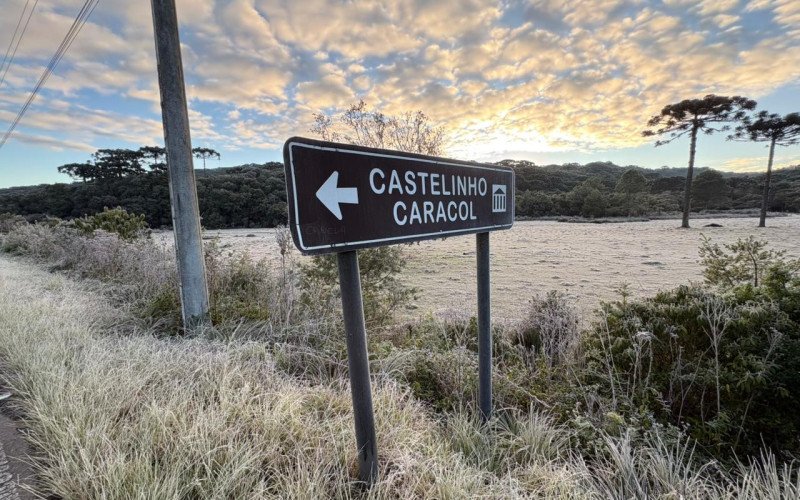 Geada em Canela, no começo deste inverno, em dia marcado por muito frio