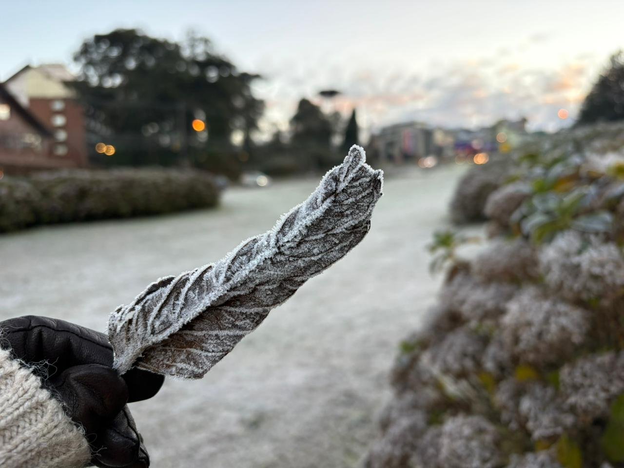 Gramado e Canela amanhecem cobertas por geada e com sensa&ccedil;&atilde;o t&eacute;rmica de -4&deg;C