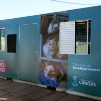 Canoas inaugura primeiro Centro de Tratamento de Esporotricose do Rio Grande do Sul