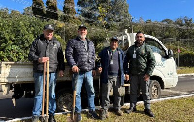 Prefeitura de Gramado faz ações de rearborização urbana em espaços públicos