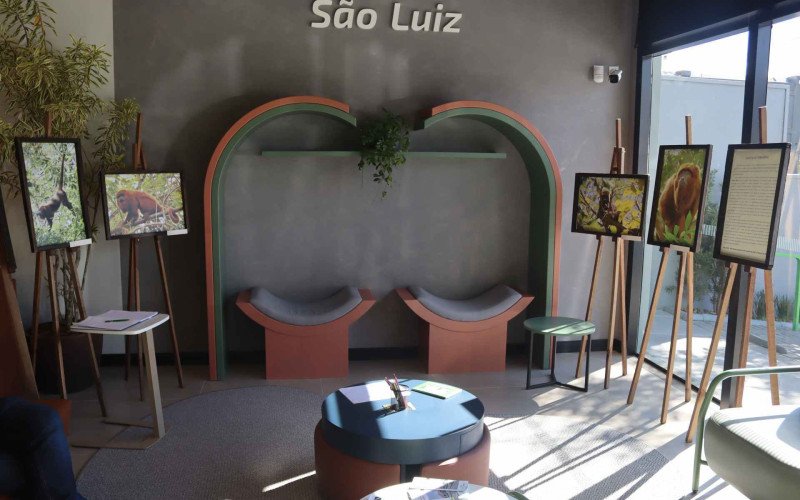 Exposição Bugios do Ferrabraz inspira contato com a natureza no Espaço Sicredi São Luiz em Sapiranga