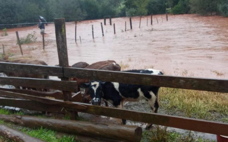 Chuva causou danos no interior de Roque Gonzales | abc+