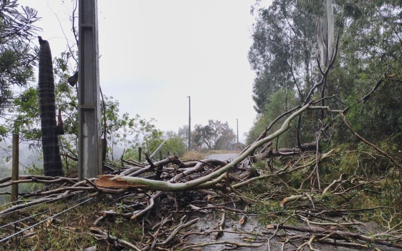 Santa Catarina registra estragos da chuva | abc+