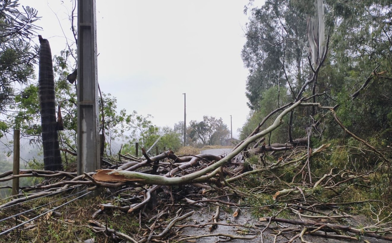 Temporais severos fazem 3 cidades de SC decretarem situação de emergência