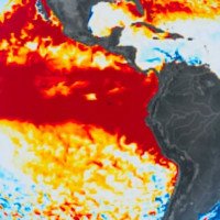 Super El Niño de 2026 pode se tornar o mais forte em 150 anos: "Projeções cada vez mais extremas"