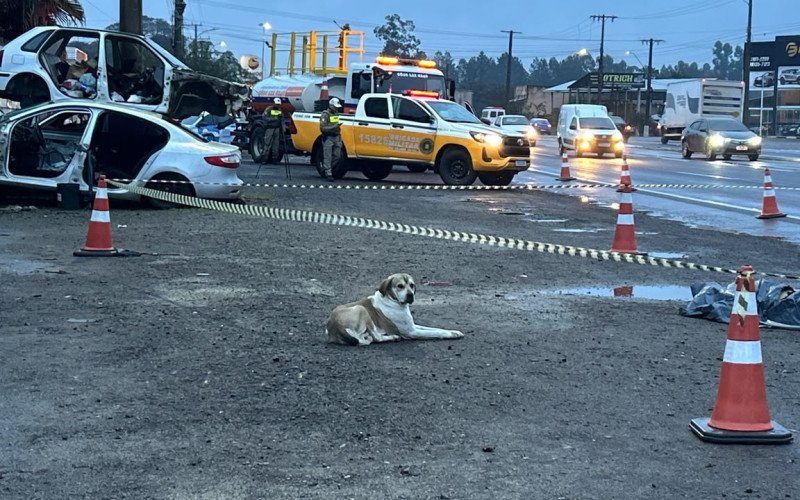Pedestre morre após ser atropelada por caminhão na RS-240, em Portão