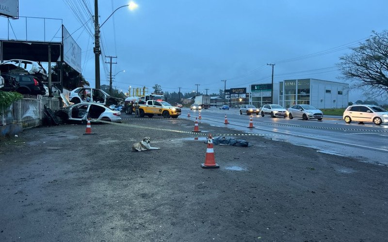 Pedestre morre após ser atropelada por caminhão na RS-240, em Portão