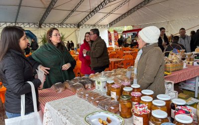 Jogos germânicos, gastronomia e shows agitam a Festa da Colônia de Sapiranga
