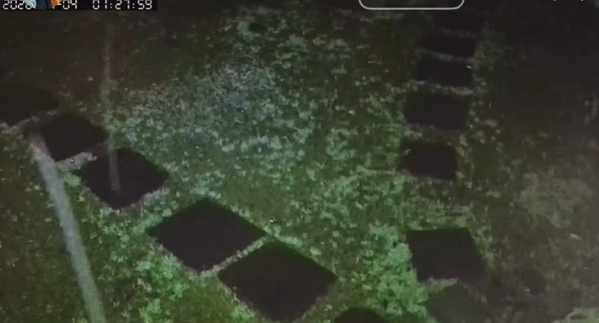Neve, chuva congelada ou garoa? Imagens mostram possível precipitação invernal em Gramado e Canela