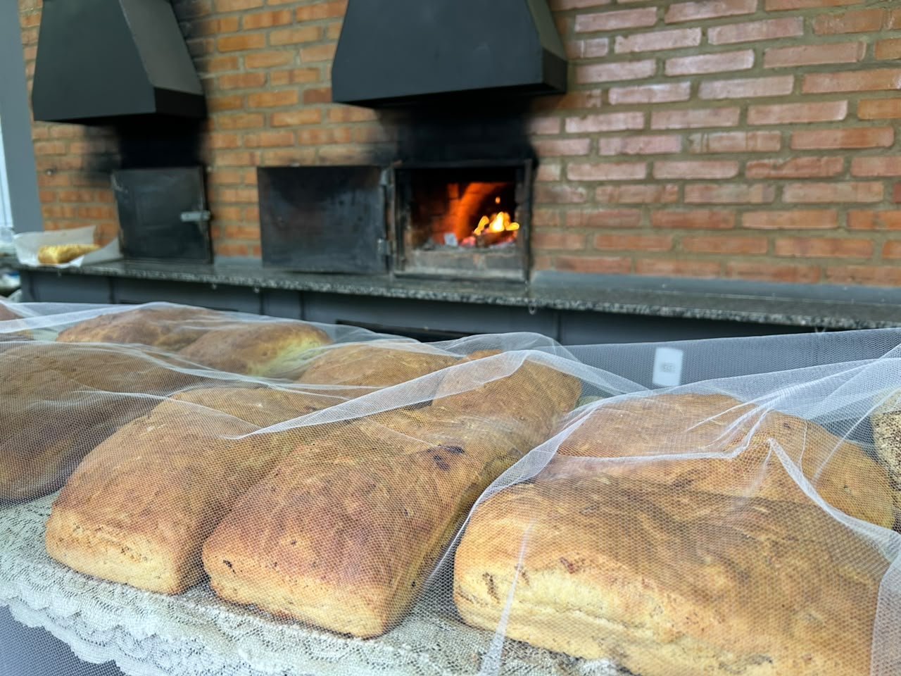 Cultura e gastronomia diversa marcam a Festa do Colono de Taquara