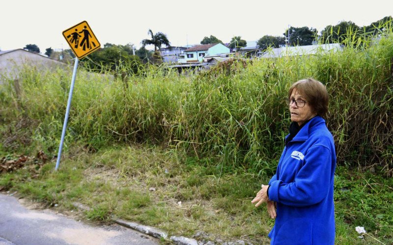 Área no bairro São José está tomada pelo mato há quase um ano, diz moradora | abc+