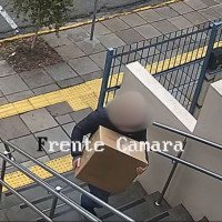 Ameaça contra vereadora: Vídeo mostra entrega de caixa com cachorro morto na Câmara de Novo Hamburgo