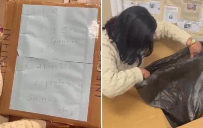 VÍDEO: "Meu Deus, alguém mandou um cachorro pra mim", diz vereadora ao descobrir animal morto dentro de caixa