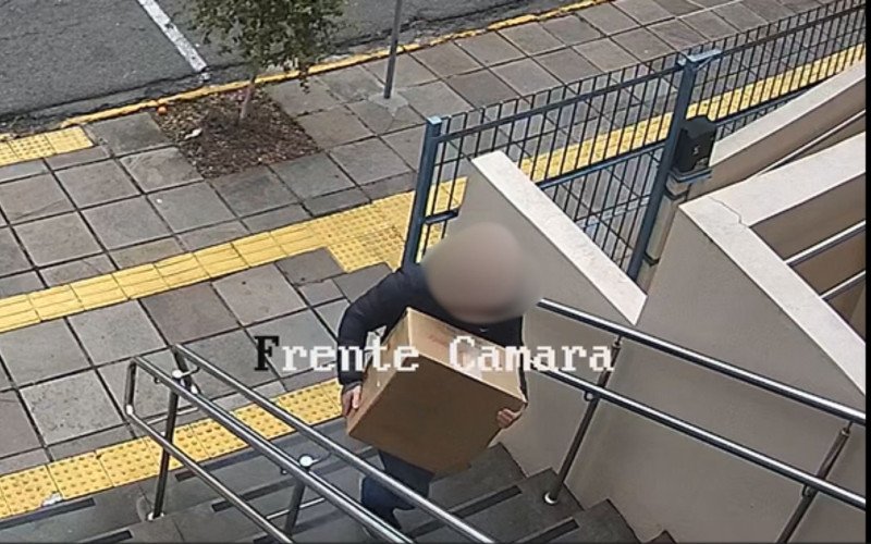Imagens flagram momento em que caixa com cachorro morto chega na Câmara de Vereadores  | abc+