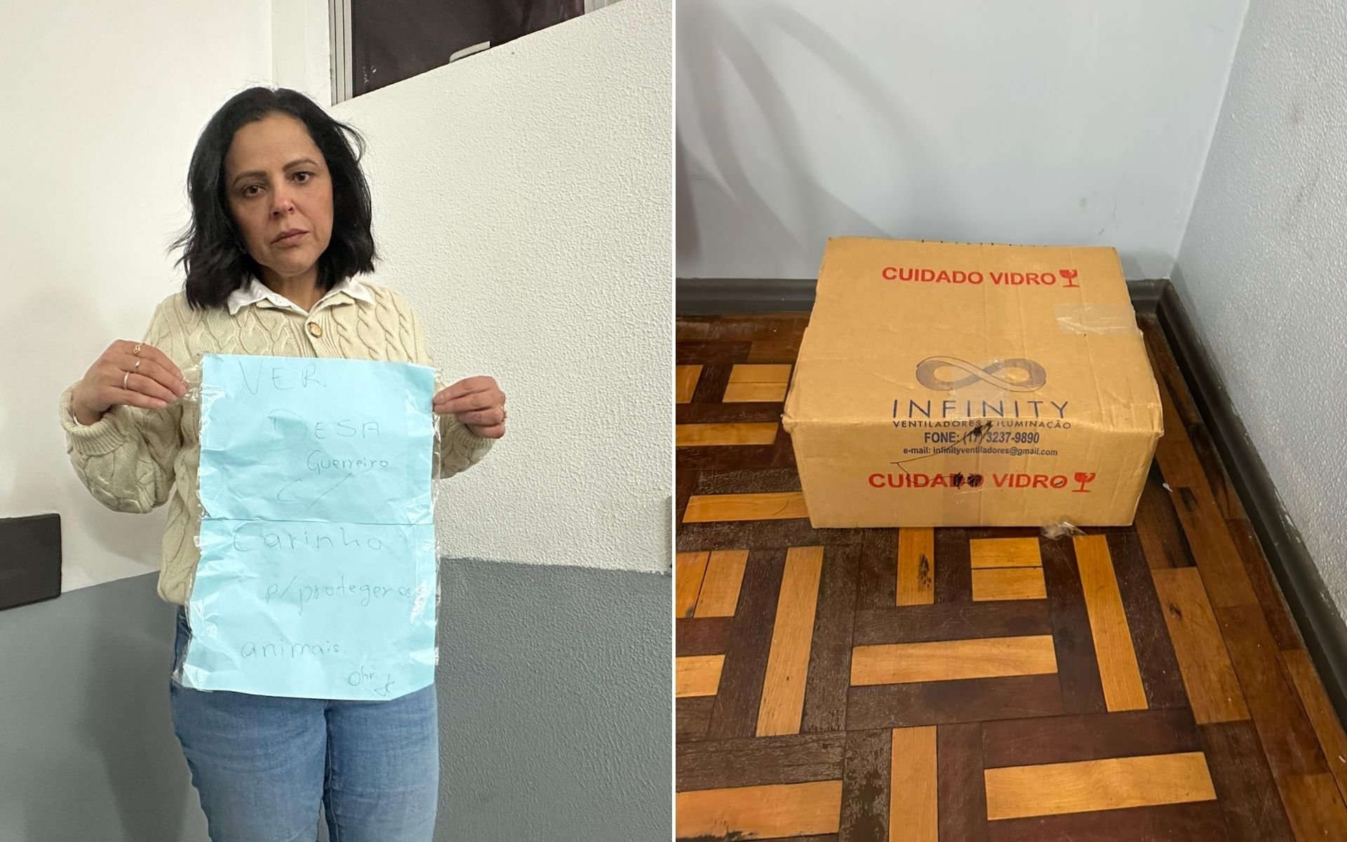Inquérito concluído: Idosa é indiciada por enviar cão morto para gabinete de vereadora