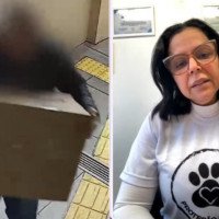 "É uma psicopata": Vereadora diz que sabe quem é a mulher que enviou caixa com cachorro morto